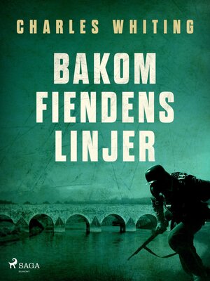 cover image of Bakom fiendens linjer